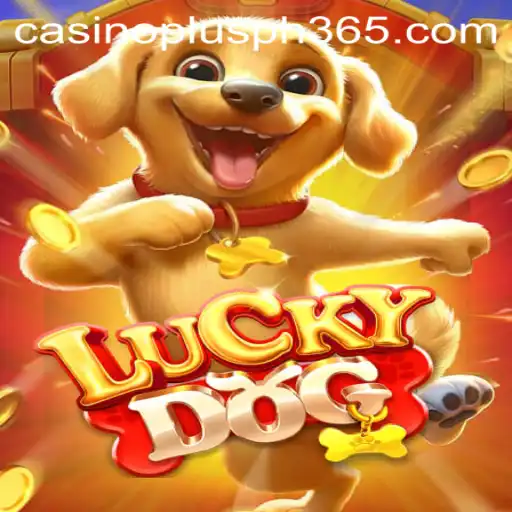Exploration of LuckyDog Casino Game: A Blend of Fortune and Fun